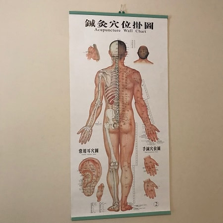 A map of acupuncture points on the human body